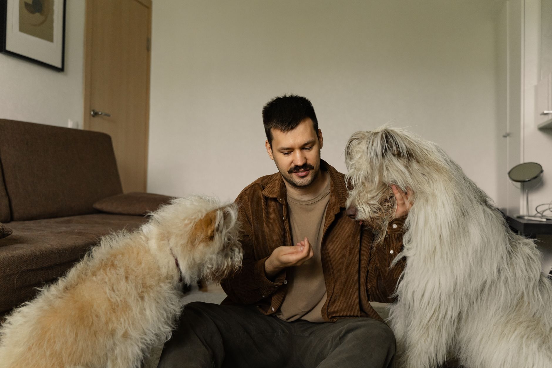 Dá para ser auxiliar veterinário autônomo? Como funciona