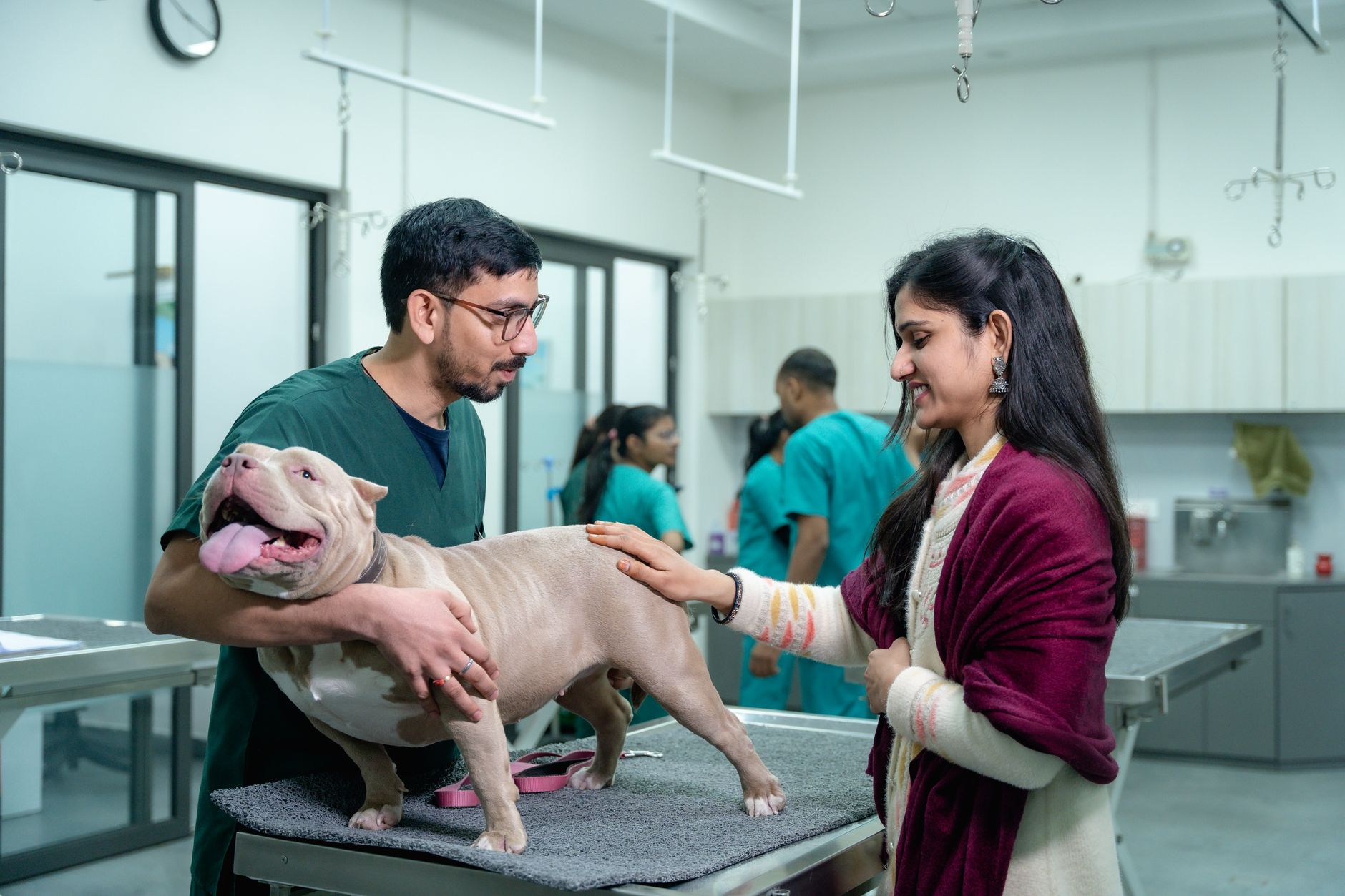 Quais são as responsabilidades de um auxiliar veterinário?