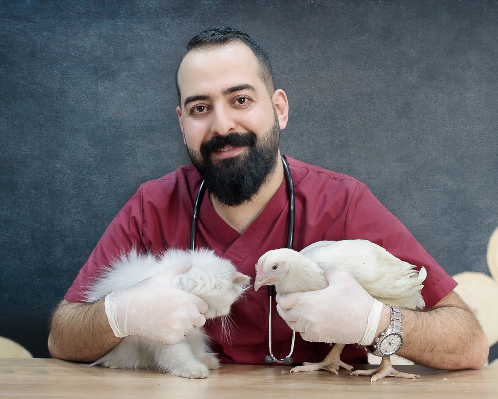 Biossegurança na clínica veterinária: boas práticas essenciais