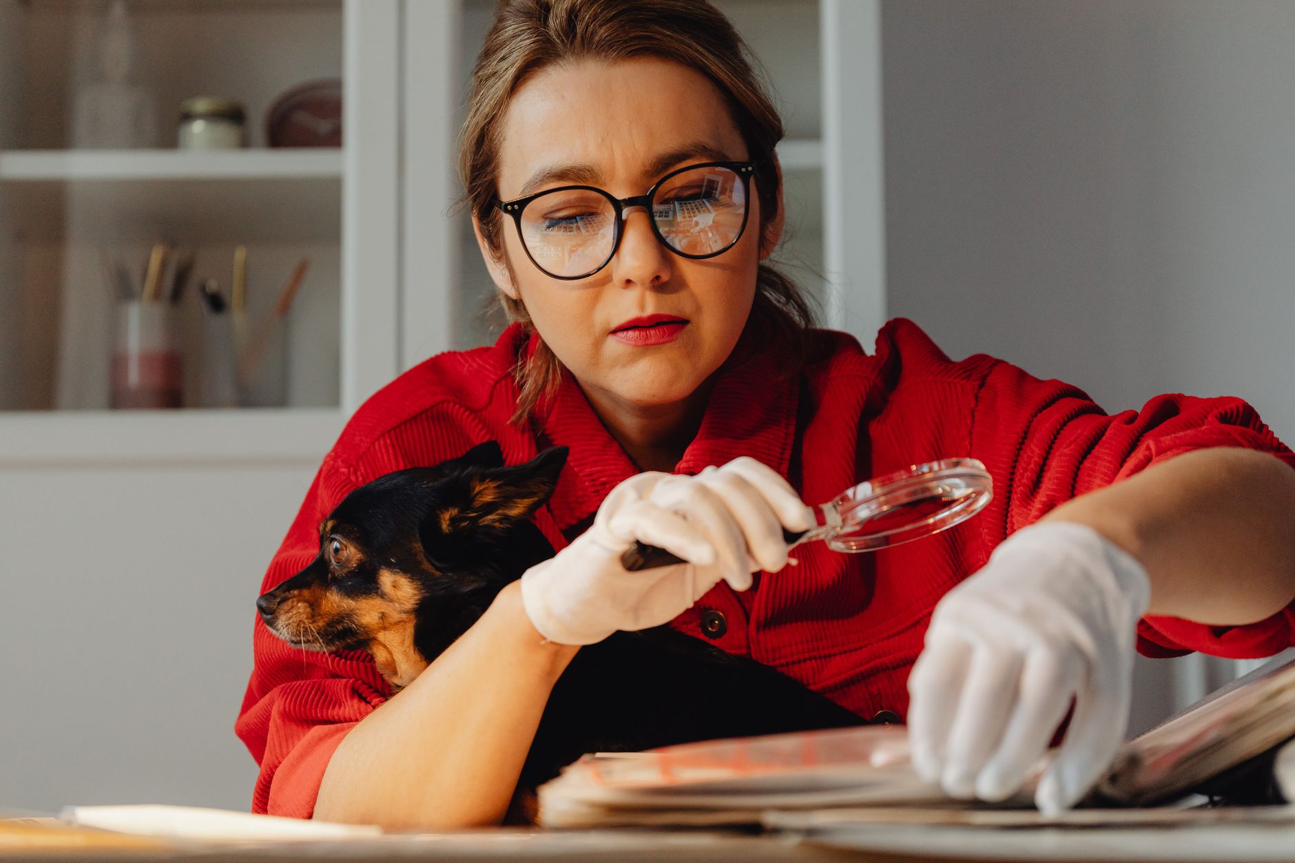 Mercado de trabalho para auxiliar veterinário: vale a pena?