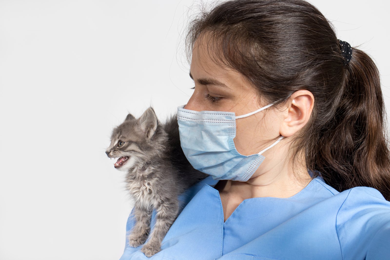 Tenho alergia a pelo: posso trabalhar como auxiliar veterinário?