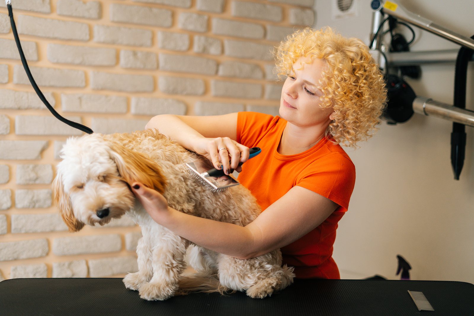 Como começar a trabalhar por conta própria na área pet