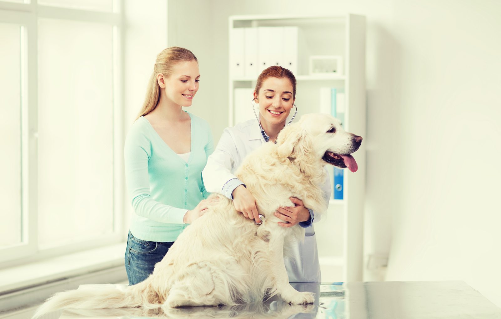 Como fidelizar clientes pet shop: estratégias que realmente funcionam