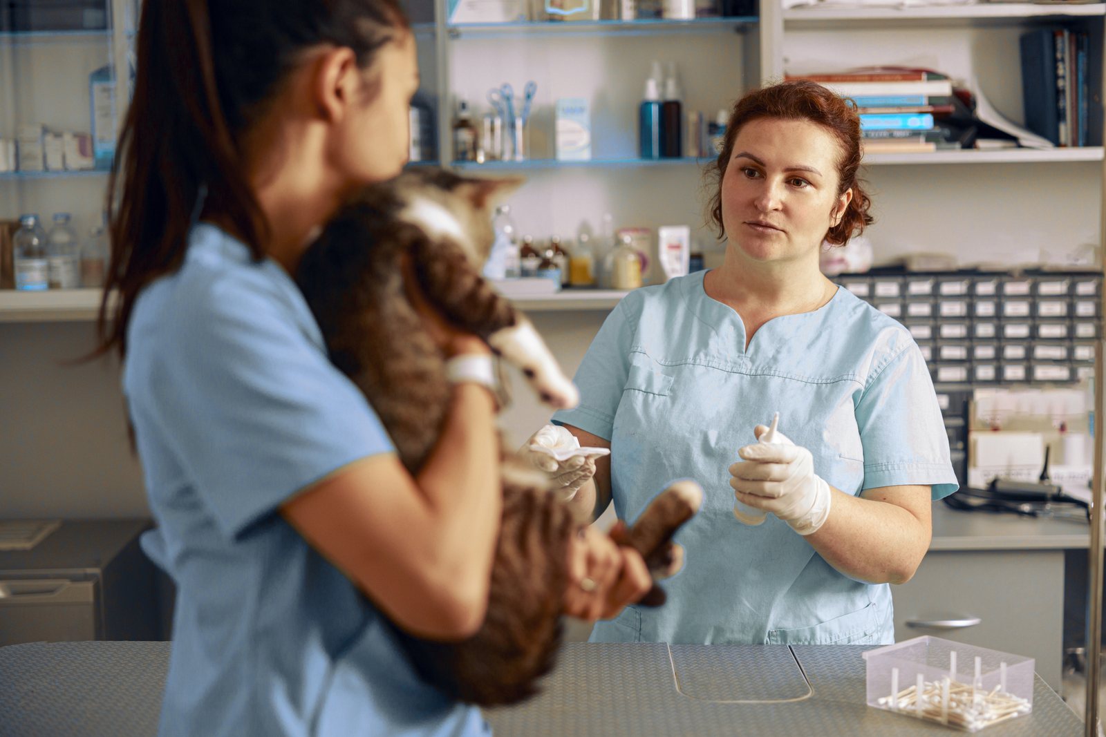 Existe idade certa para começar na área veterinária? Descubra a verdade