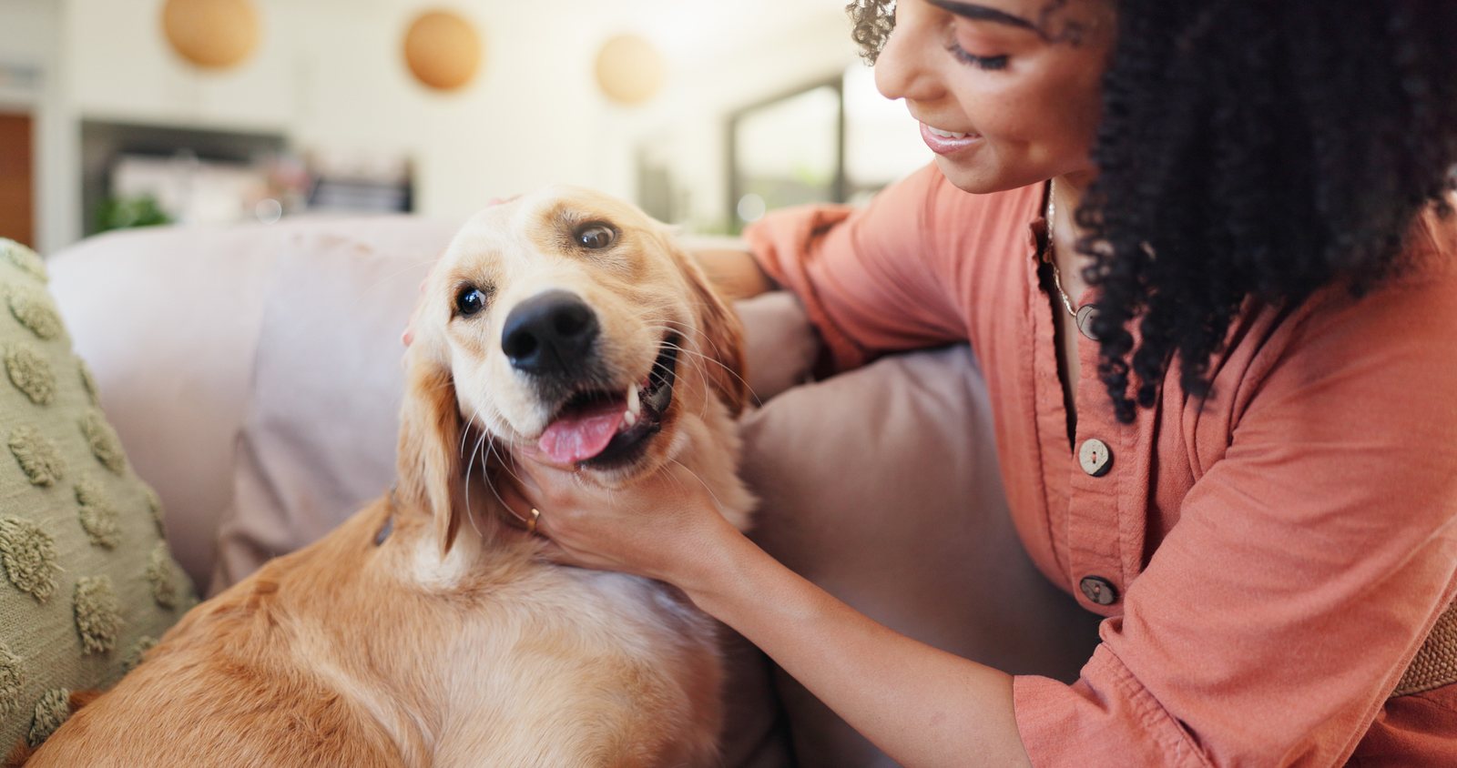 O que fazer antes de levar o pet ao veterinário: primeiros socorros para tutores
