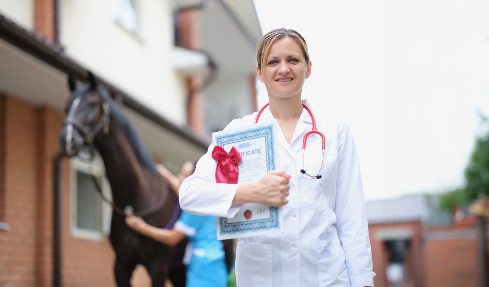 Curso de auxiliar veterinário com certificado: como funciona