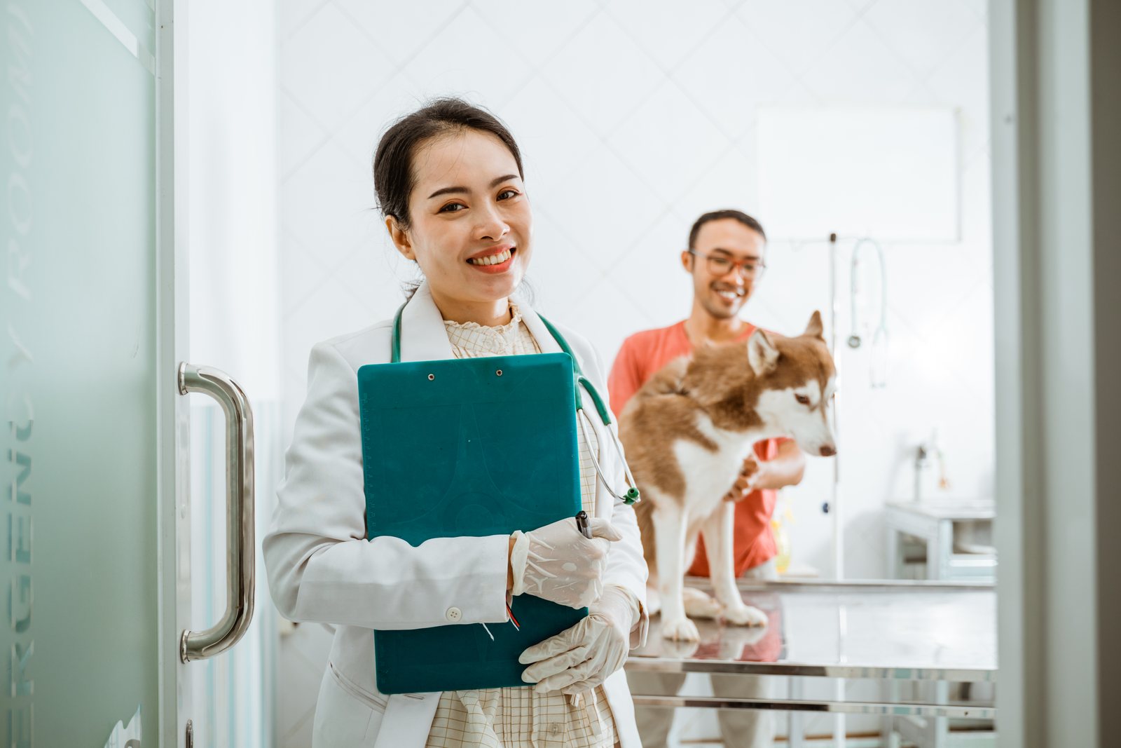 Como encontrar vagas de auxiliar veterinário na sua cidade