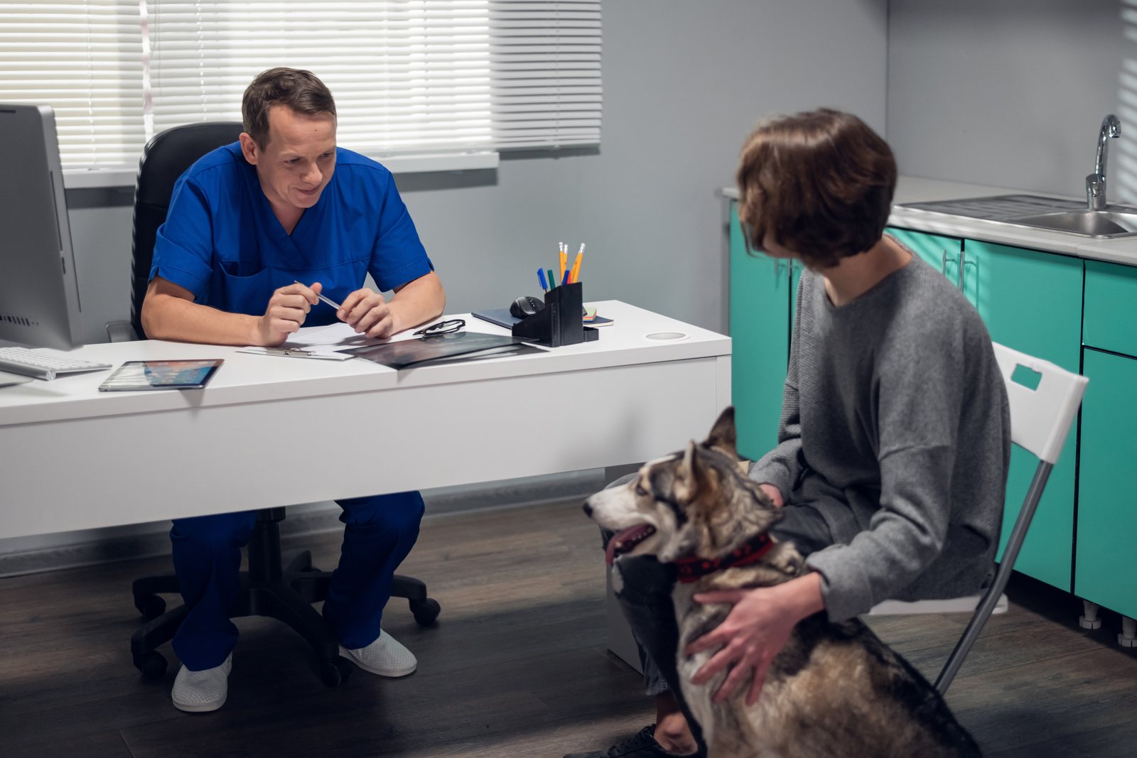 Prontuário veterinário: como registrar corretamente